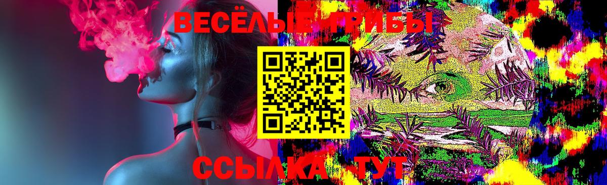 Псилоцибиновые грибы мухоморы Новоалтайск
